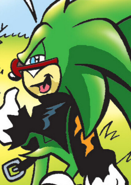 Scourge the Hedgehog photo