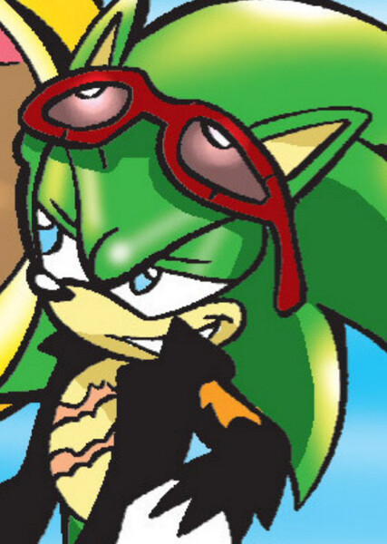 Scourge the Hedgehog photo