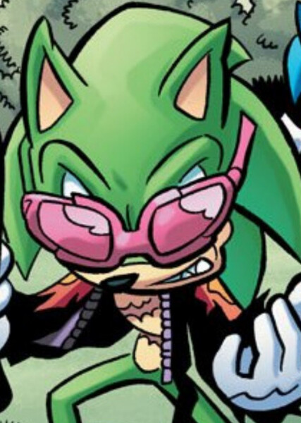 Scourge the Hedgehog photo