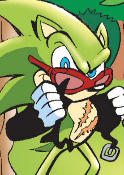 Scourge the Hedgehog photo