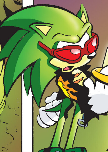 Scourge the Hedgehog photo