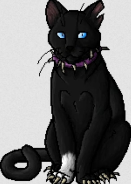 Scourge (Warrior Cats) photo