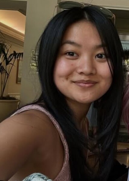 Ling Ling Ironfan
