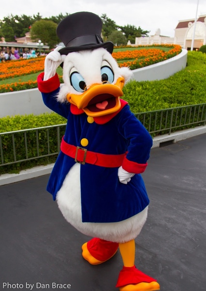 Scrooge McDuck photo
