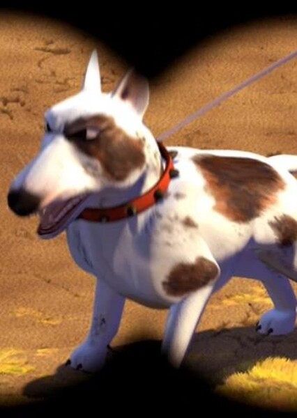 Scud photo