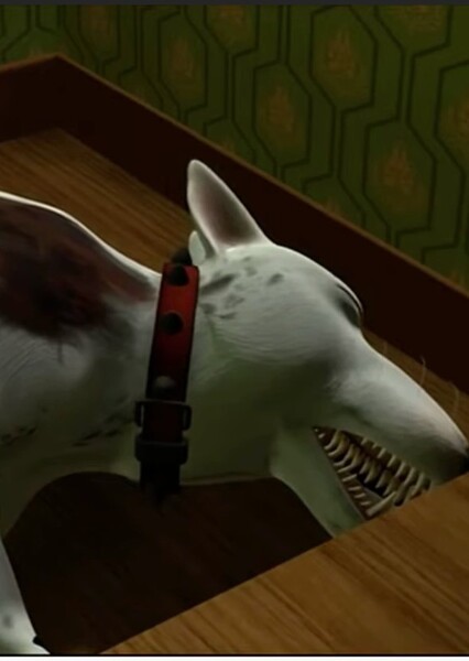 Scud photo