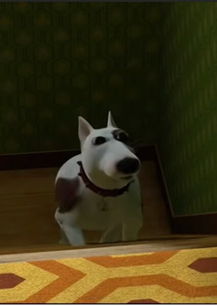 Scud photo