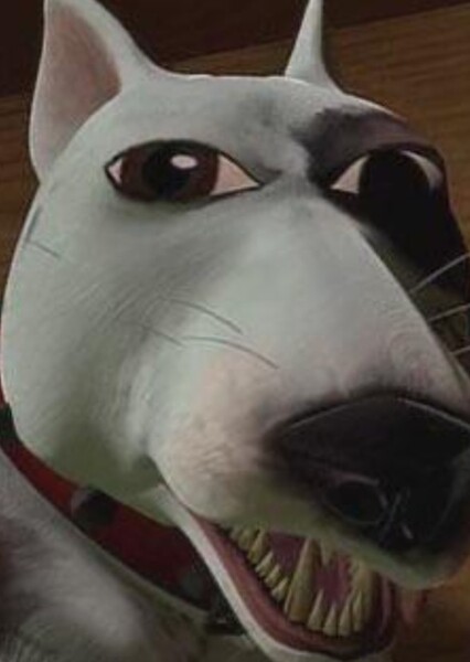 Scud photo