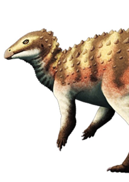 Scutellosaurus photo