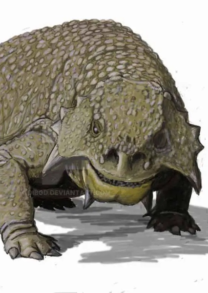 Scutosaurus photo
