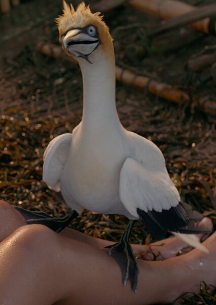 Scuttle photo