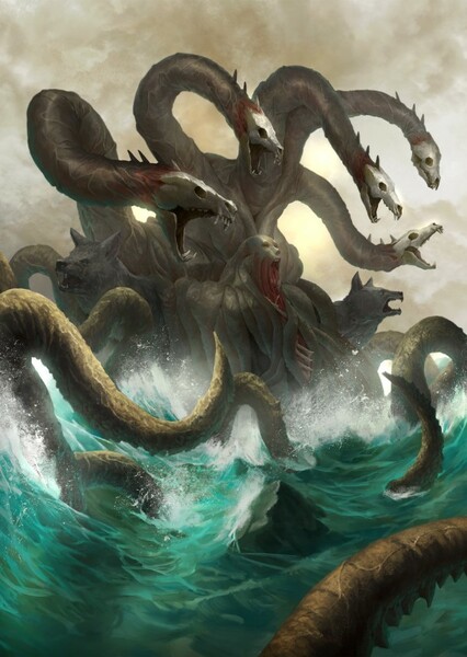 Scylla photo