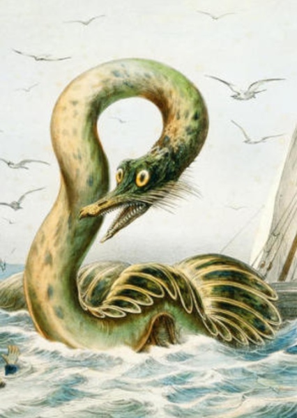 Sea Serpent photo