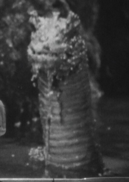 Sea Serpent photo