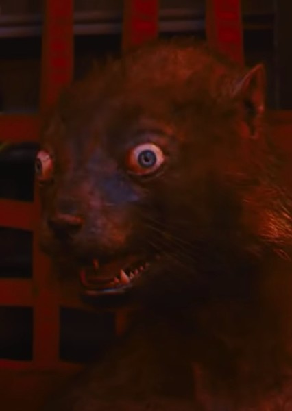 Weasel