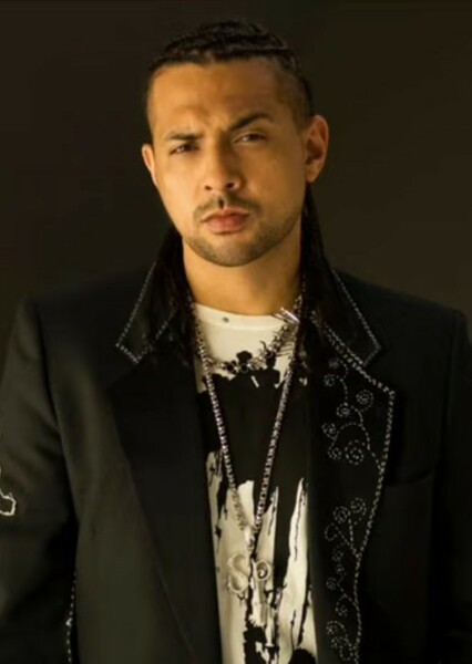 Sean Paul photo