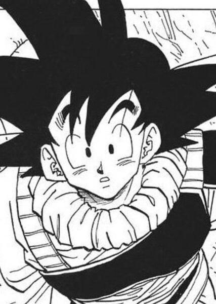 Sean Schemmel photo