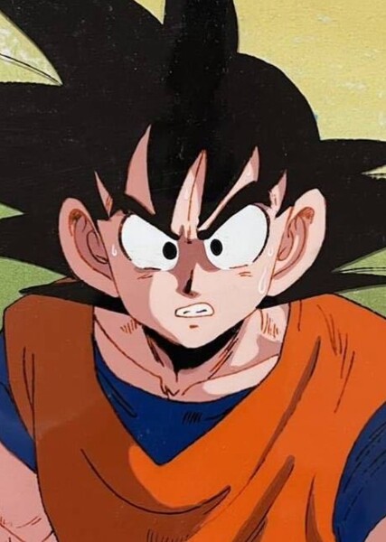 Sean Schemmel photo