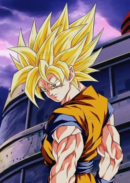 Sean Schemmel photo