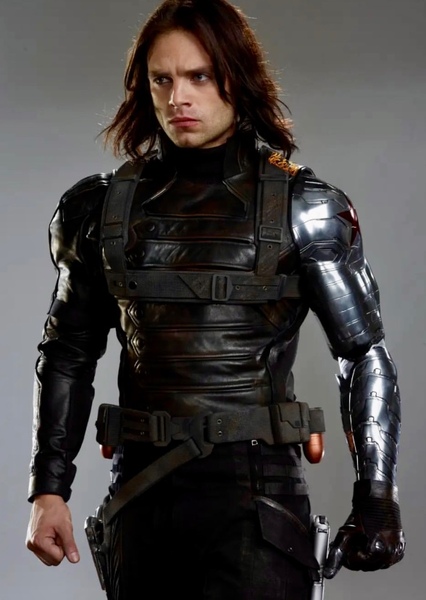 Sebastian Stan photo