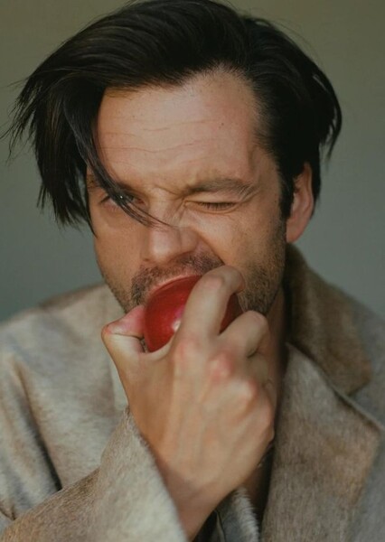 Sebastian Stan photo