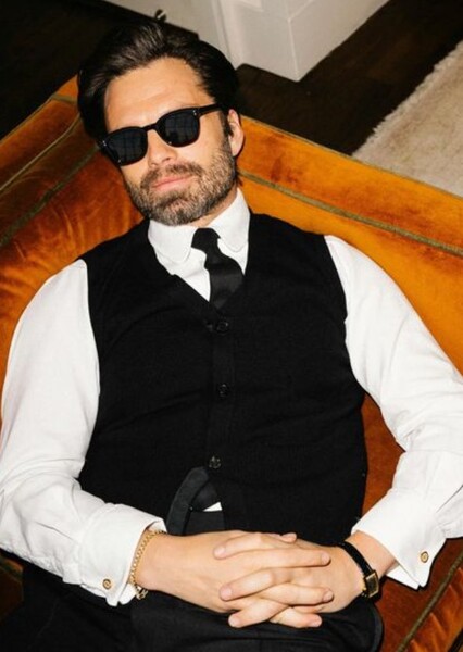 Sebastian Stan photo