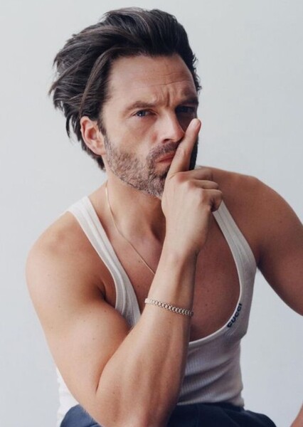 Sebastian Stan photo