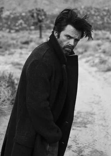 Sebastian Stan photo