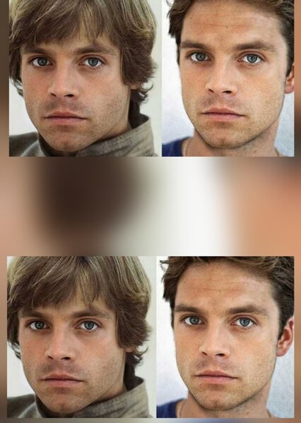Sebastian Stan photo