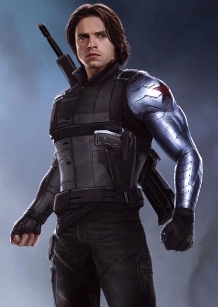 Sebastian Stan photo