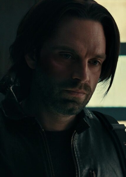 Sebastian Stan photo
