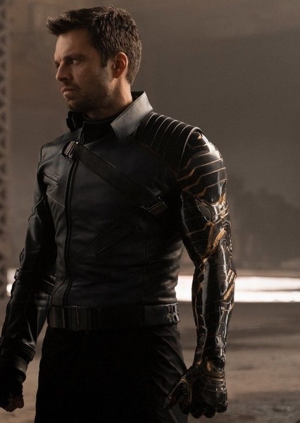 Sebastian Stan photo