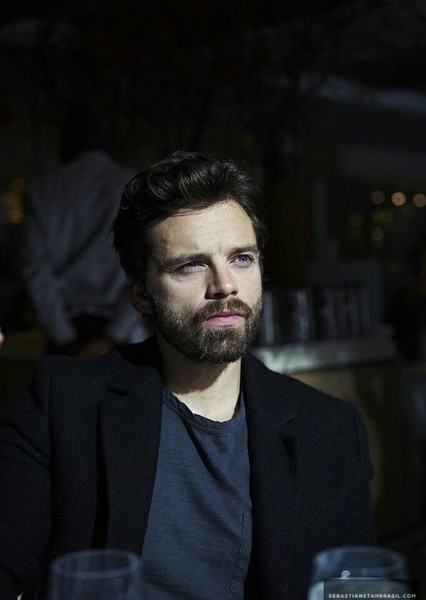 Sebastian Stan photo