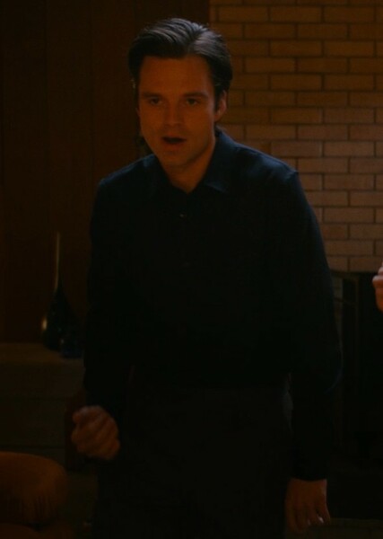 Sebastian Stan photo