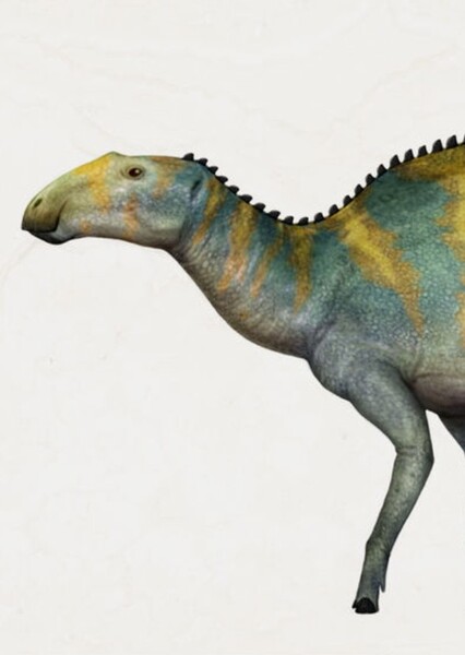 Secernosaurus photo