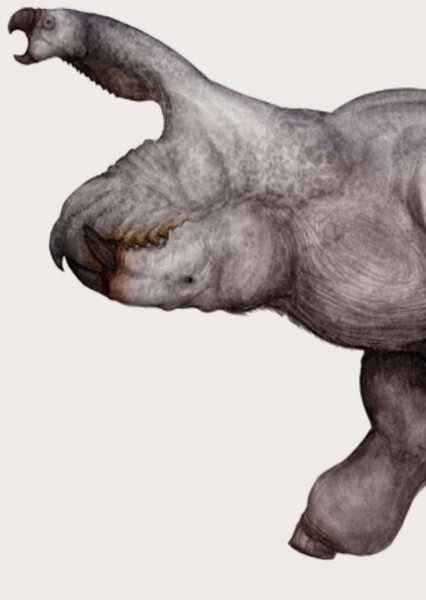 See Rex (Snaiad)