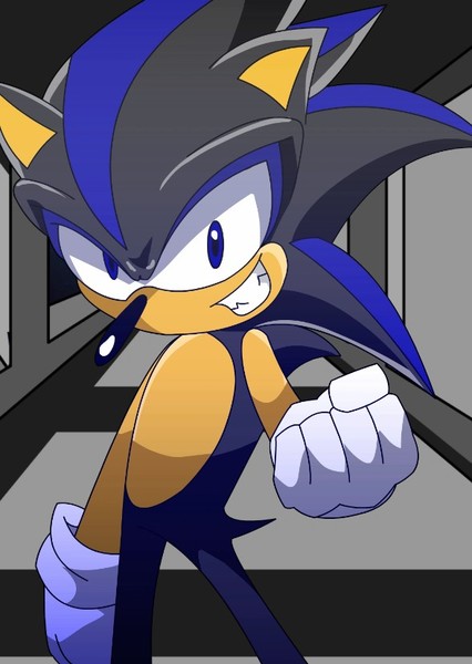 Seelkadoom The Hedgehog photo