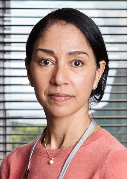 Seeta Indrani
