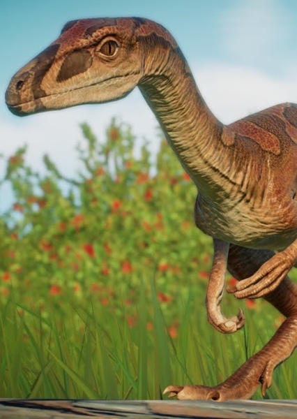 Segisaurus