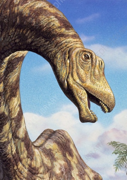 Seismosaurus photo