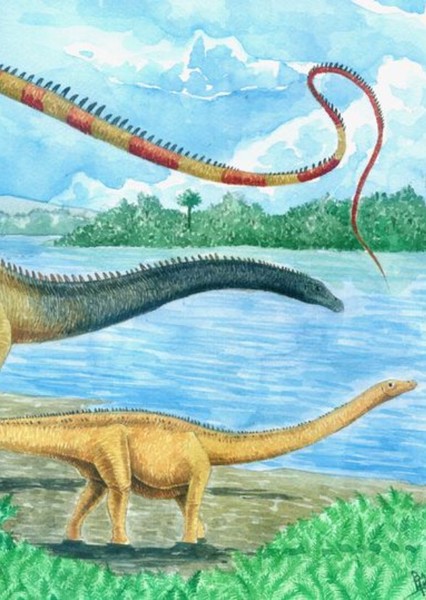 Seismosaurus photo