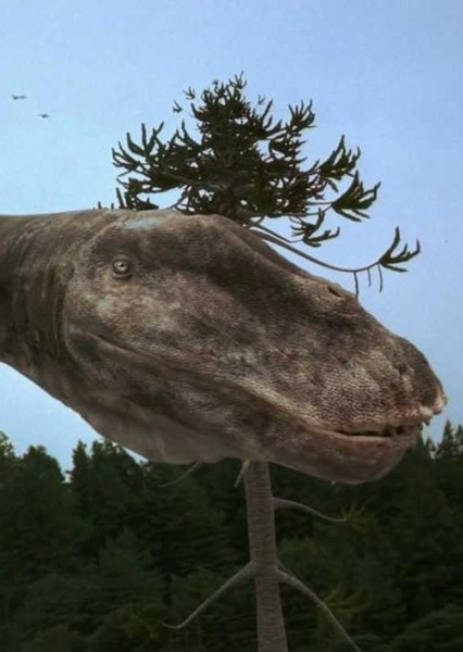 Seismosaurus photo