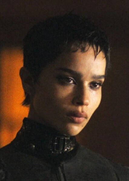 Selina Kyle (The Batman) photo