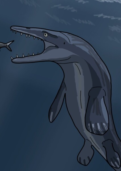 Selmasaurus