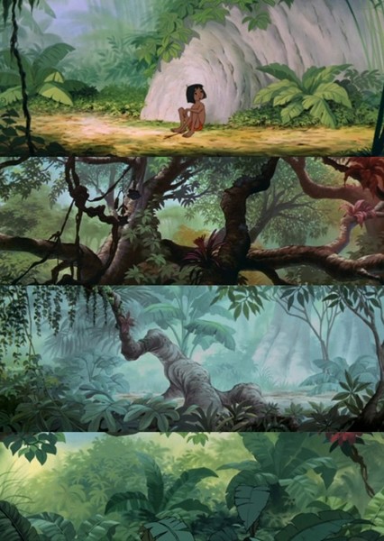 Seoni Jungle photo