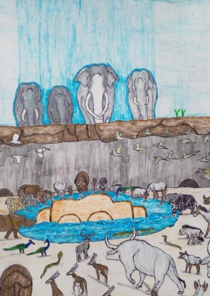Seoni Jungle's animals photo
