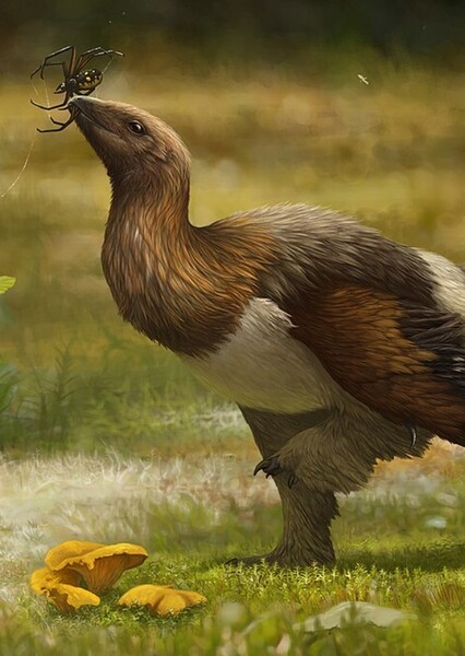 Serikornis