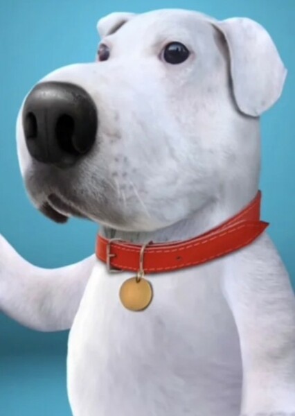 Seth MacFarlane photo