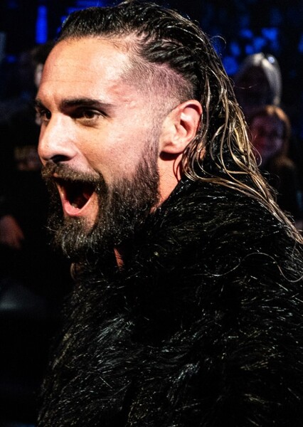 Seth Rollins photo