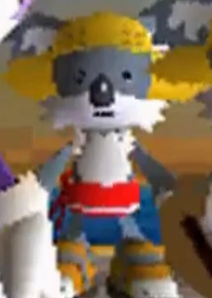 Setter the Koala photo
